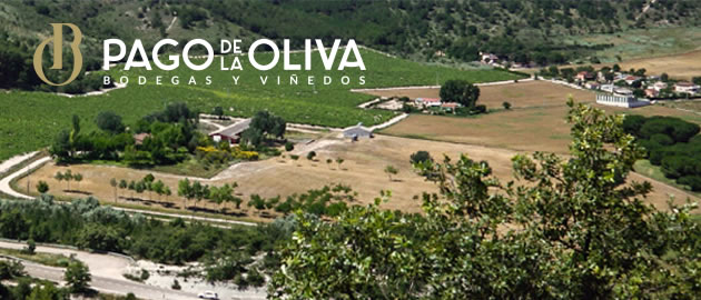 Pago de la Oliva Bodegas y Viñedos